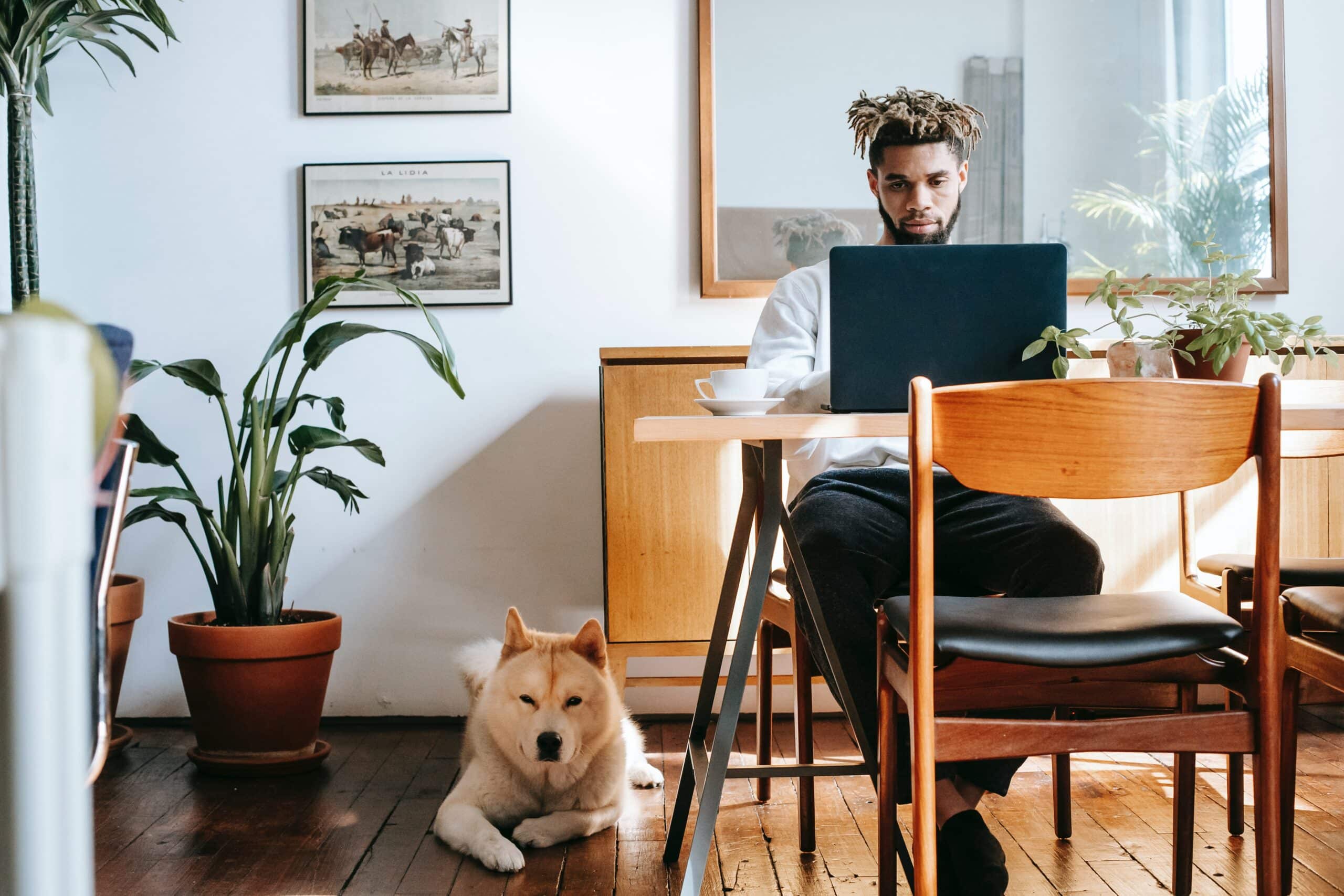 Man using laptop to run a small business while Akita Inu resting on floor