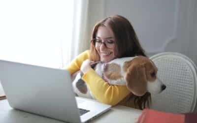 Book Your Pet’s Top 10 Marketing Strategies For Small Businesses