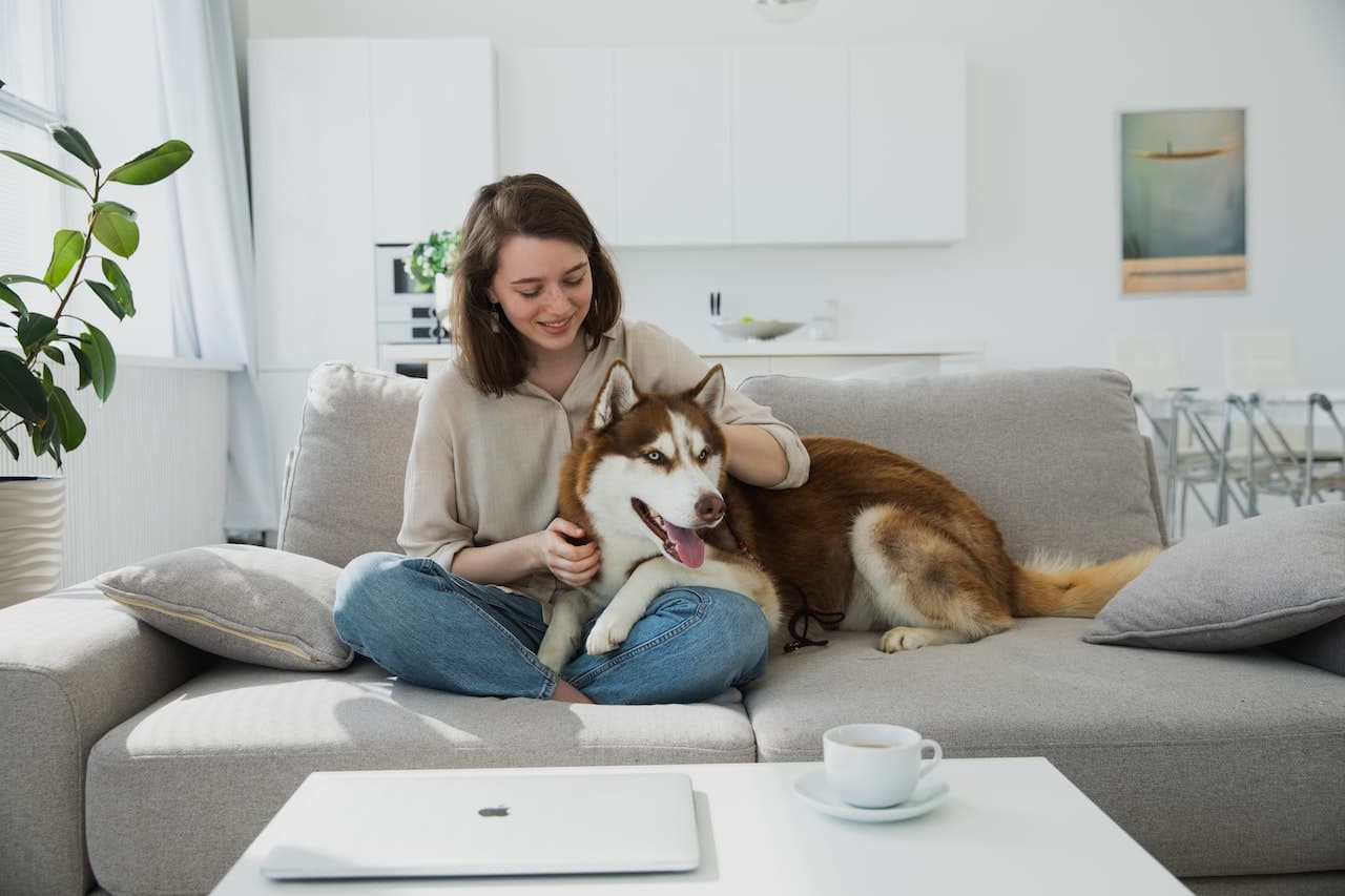 Software To Streamline Your Pet Sitting And Dog Grooming Businesses