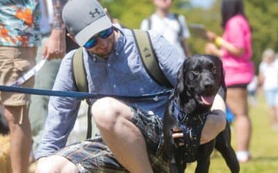 Celebrate Father’s Day With Book Your Pet At Tatton Park