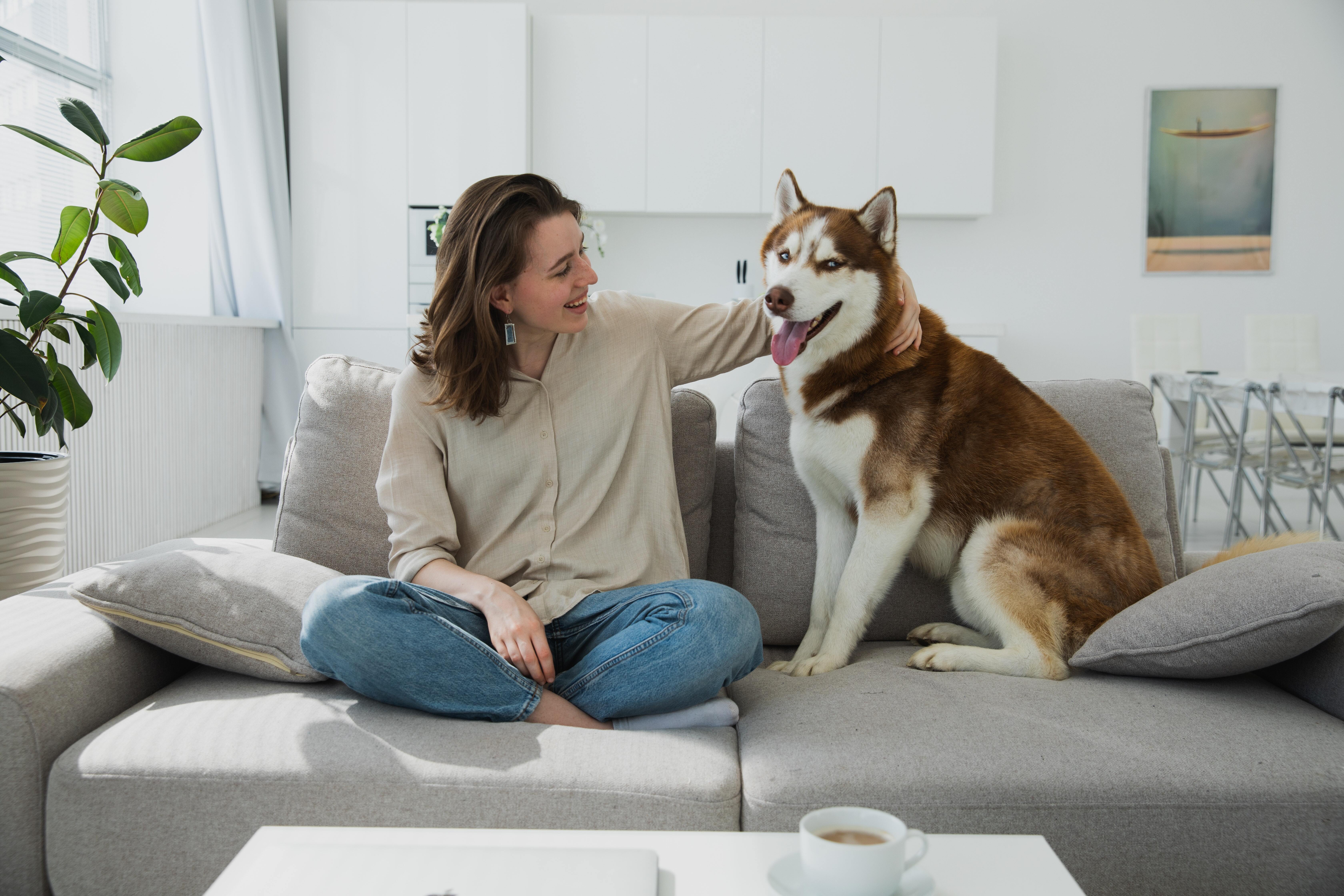 Launching A Pet Sitting Business: A Step-By-Step Guide (US)