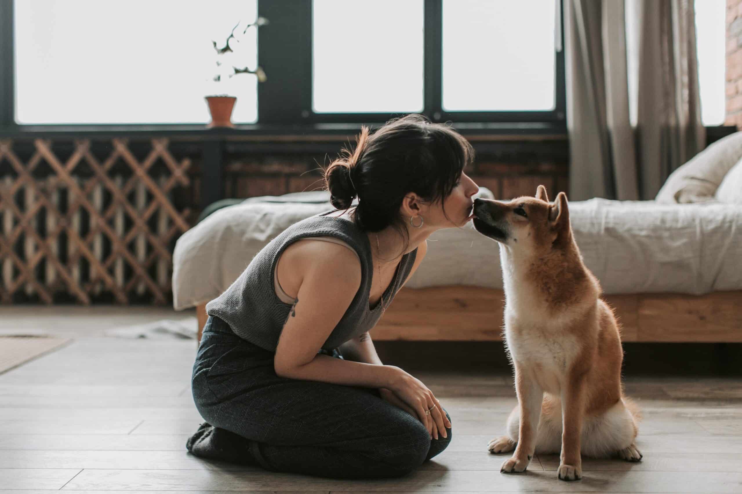 pexels-vlada-karpovich-6802899 A woman kissing her dog on the end of its snout while pet sitting.