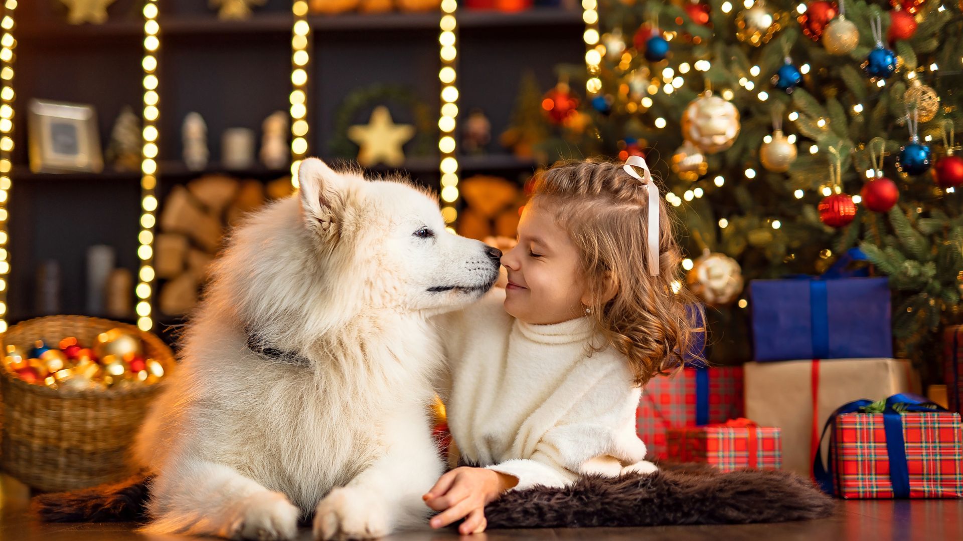 Book Your Pet Affiliate Program (1)