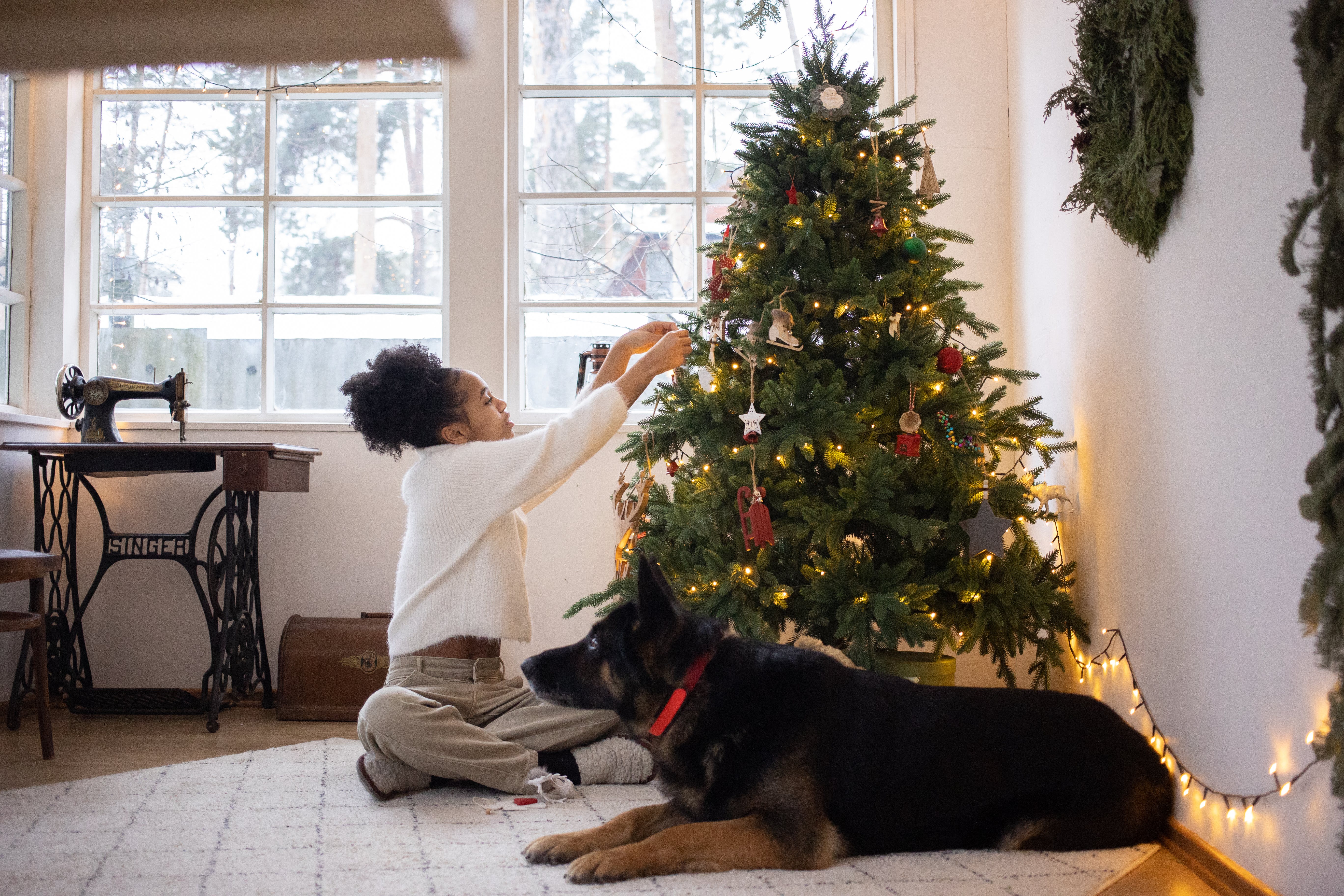 Wholesome Wags and Festive Fun: 7 Heartwarming Ideas To Try With Your Dog
