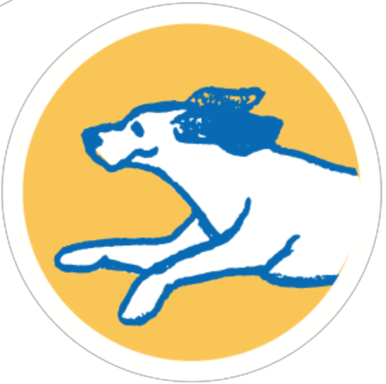 Cartoon dog with mortar board on