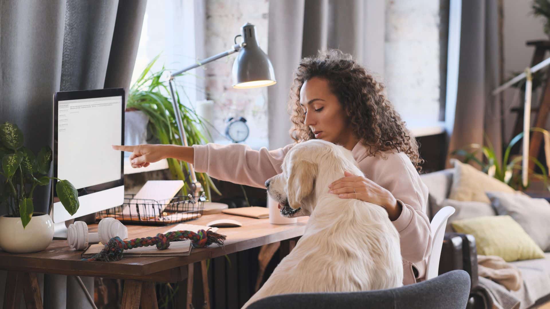 An image of a woman sat at her desktop computer. Sat on the chair to her right is a labrador. She is reading about how to grow your pet business online.