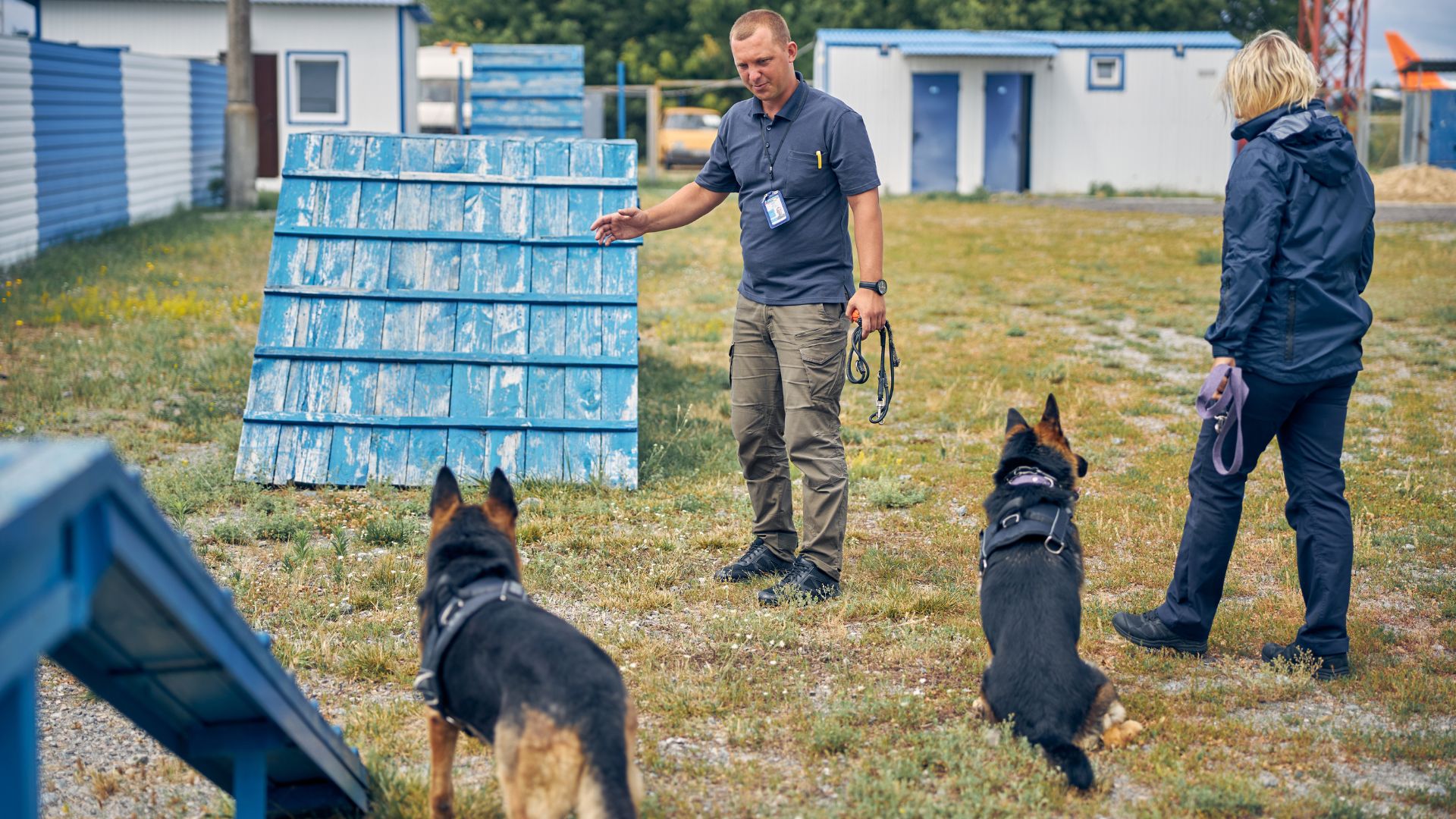 Two dog trainers teaching two german shepherd dogs how to complete an agility course.