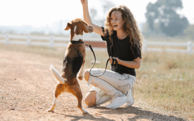 What’s the Difference Between a Dog Behaviorist and a Dog Trainer?