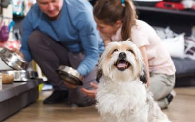 Get to Know Your Pet Clients: Celebrating ‘Get to Know Your Customers Day’