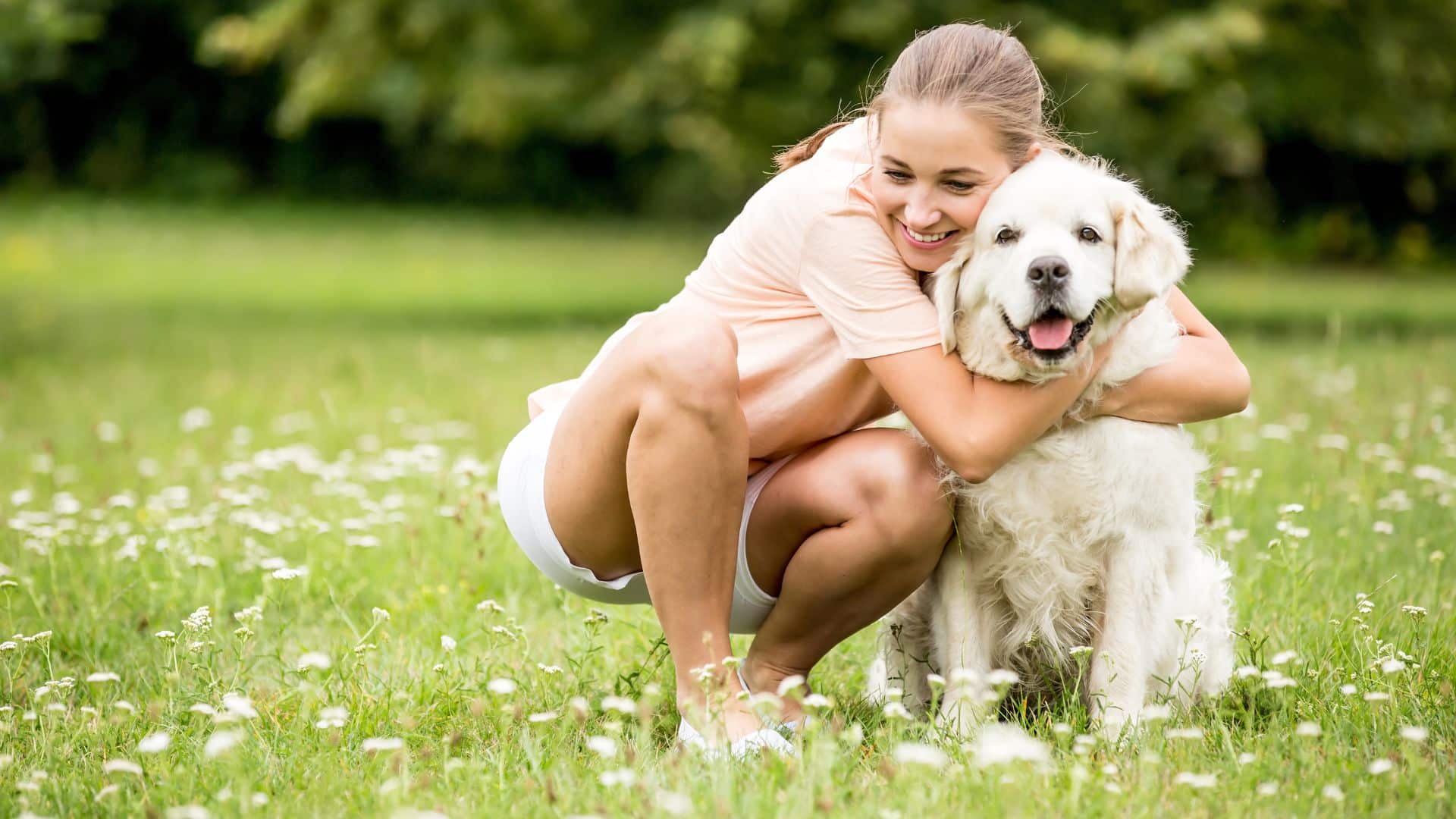 A woman crouching to hug her golden retriever in a field of daisies. National hug your dog day
