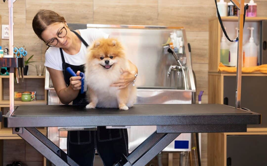 Are Dog Grooming Businesses Profitable?