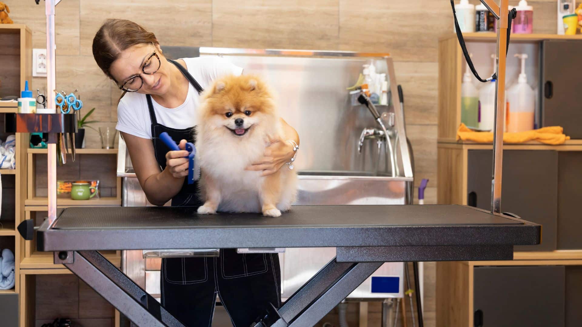 Are dog grooming businesses profitable?
