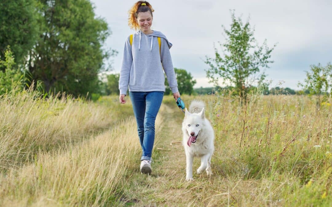 Dog Walking Business: How Long Should You Walk a Dog?