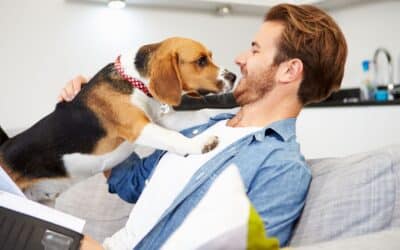Is Pet Insurance Worth it For a Dog?