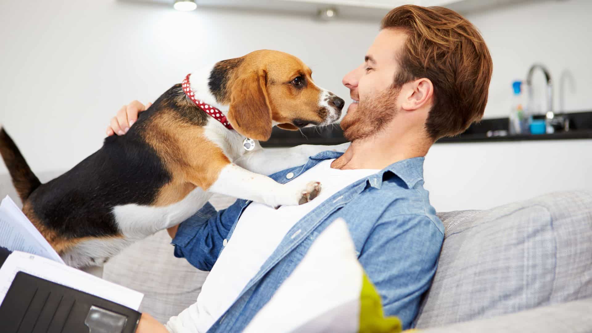 Is pet insurance worth it for dogs?