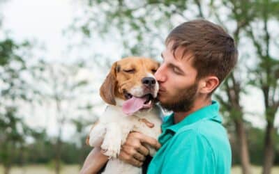 Celebrating National Rescue Day: The Power of Pet Adoption