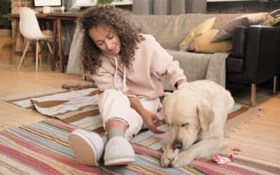 Navigating Licensing Requirements for Pet Sitting in the UK and USA
